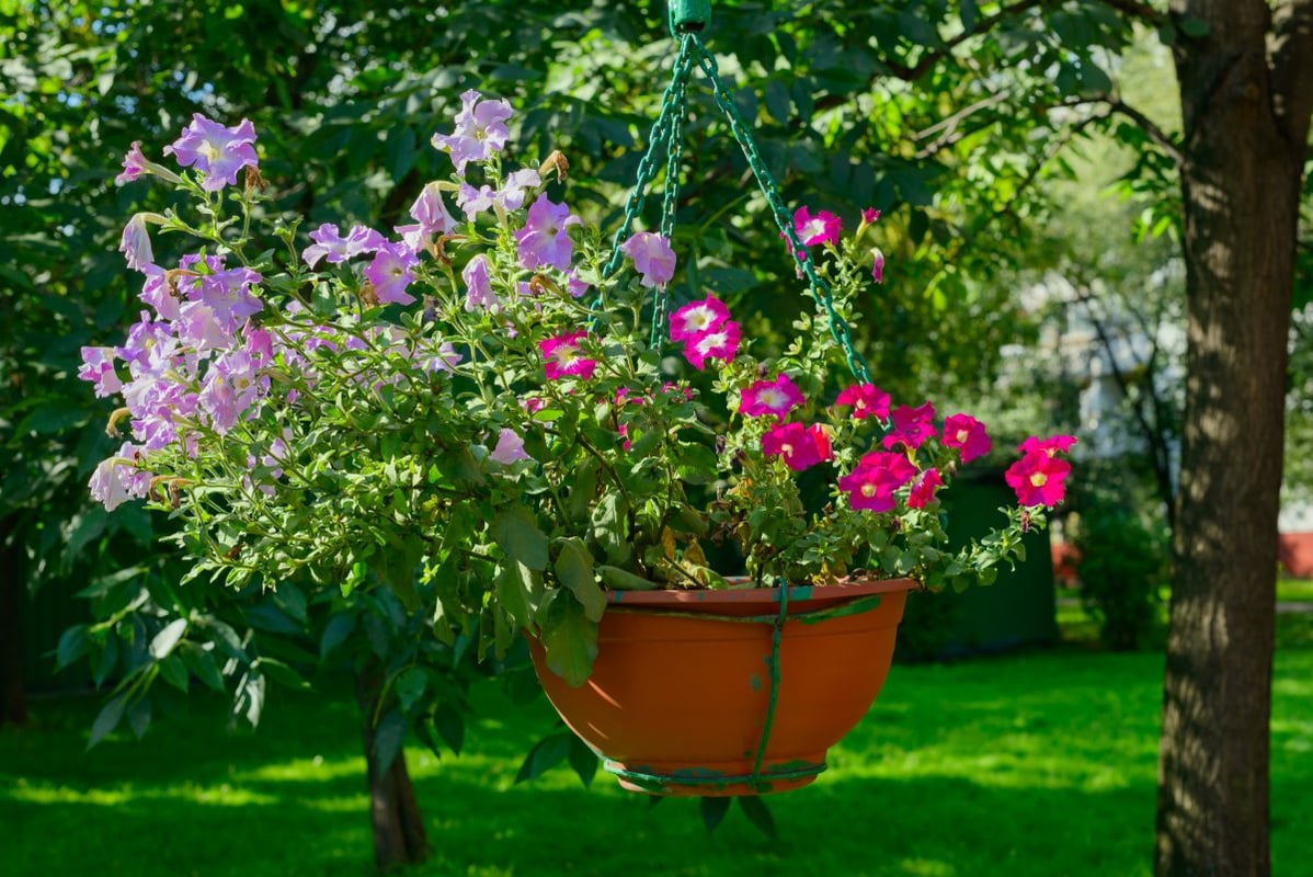 Hanging planters with flowers in a green garden 1200x800px